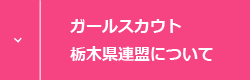 ガールスカウト栃木県連盟について